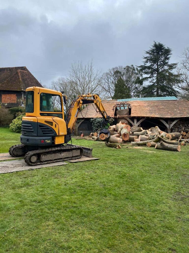 This is a photo of a tree which has grown through the roof of a barn that is being cut down and removed. There is a digger that is removing sections of the tree as well. Wollaston Tree Surgeons