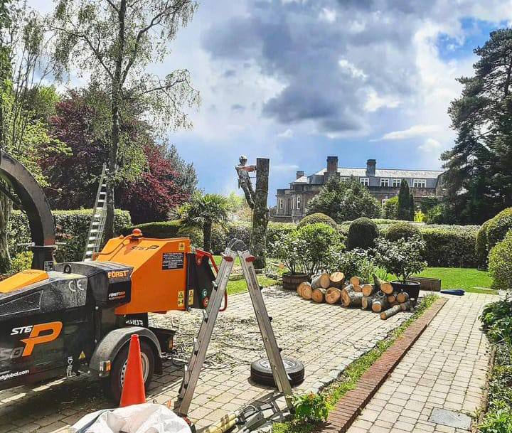 This is a photo of a tree being felled. A tree surgeon is currently removing the last section, the logs are stacked in a pile. Wollaston Tree Surgeons